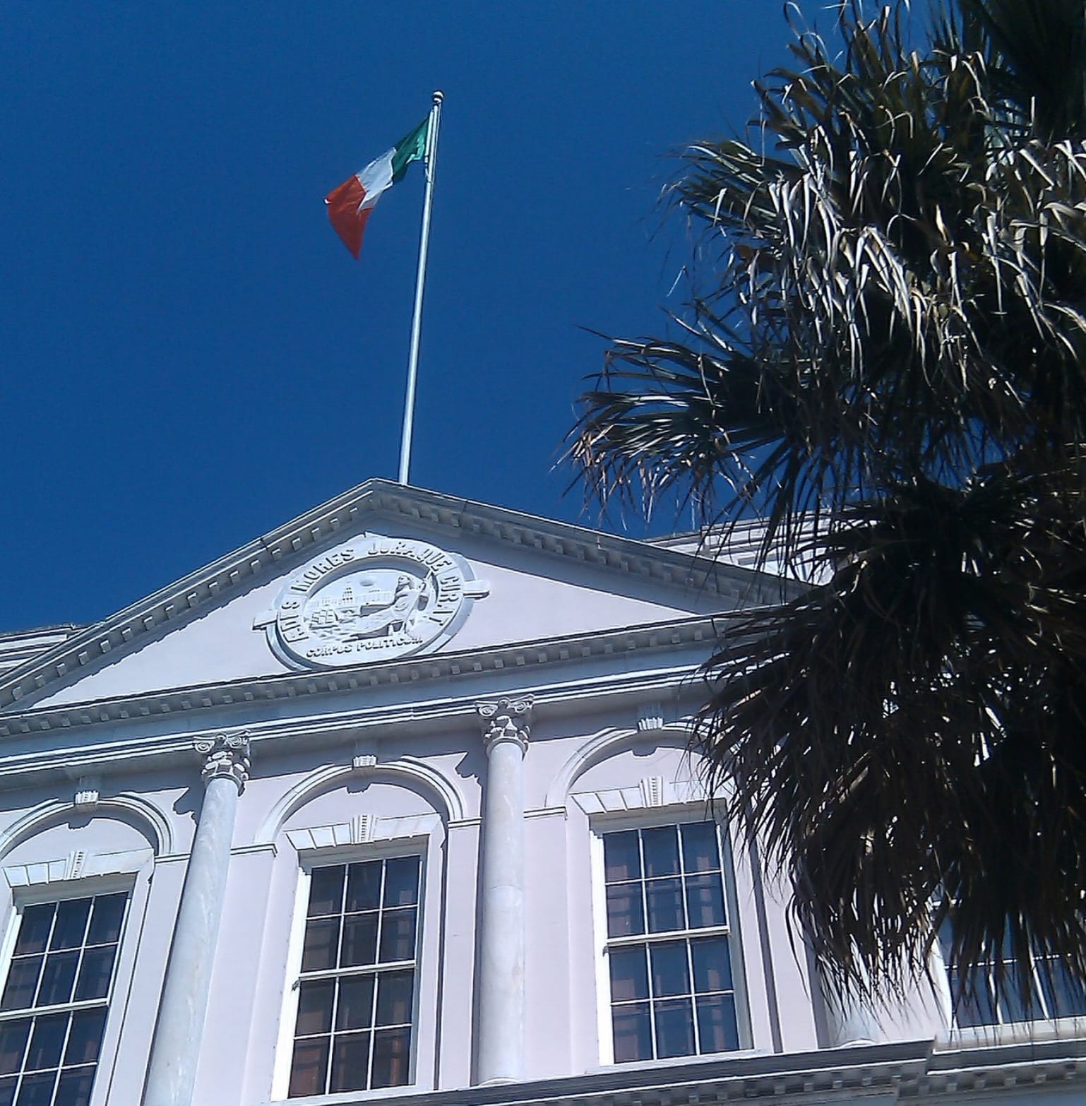 History of the Irish in Charleston