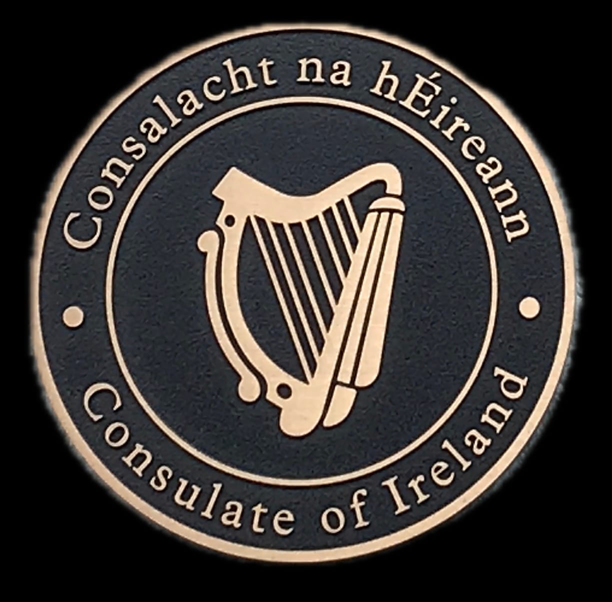 Irish Government In Charleston